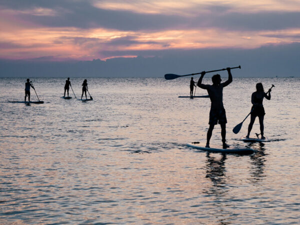 Paddle sur le Bassin d'Arcachon