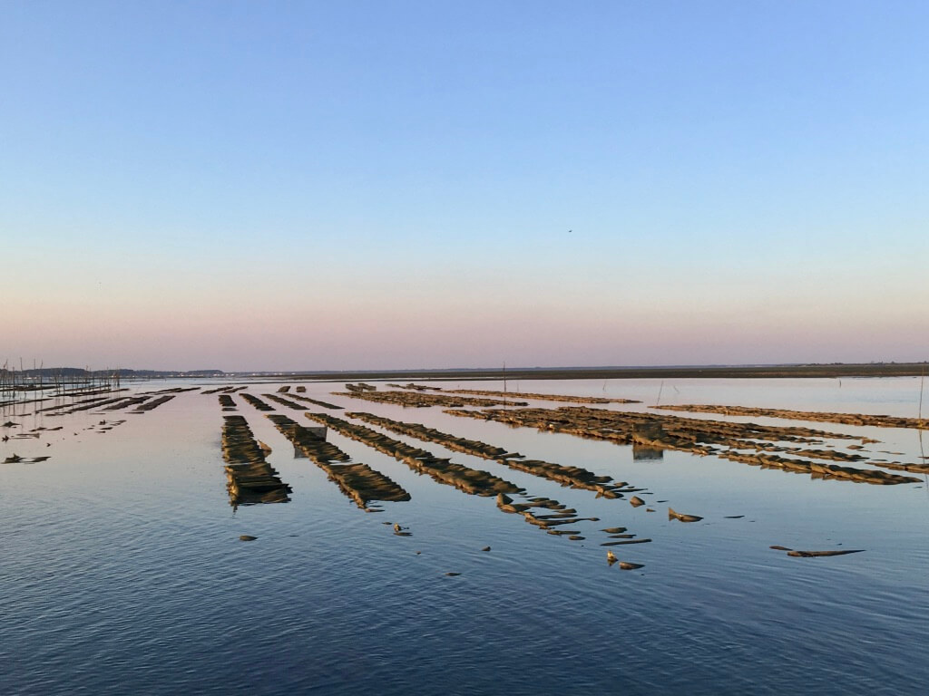 Parc à huîtres au coucher du soleil - Bassin d'Arcachon